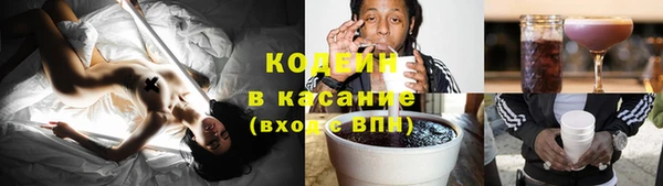 молекула духа Козловка