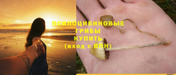 стаф Киреевск