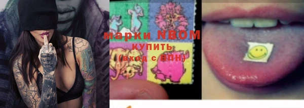 сатива Киренск