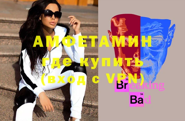 молекула духа Козловка