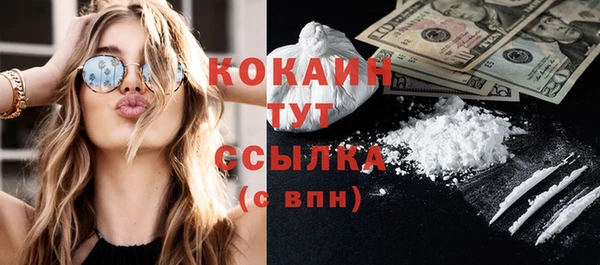 молекула духа Козловка