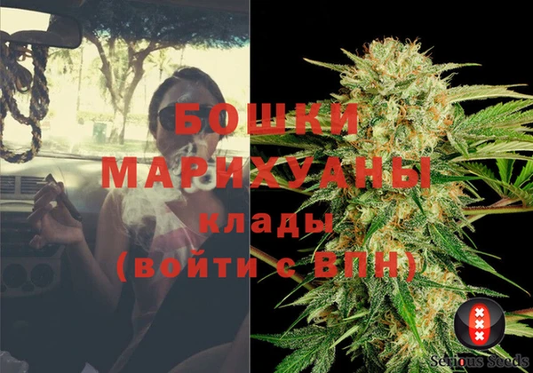 сатива Киренск