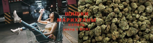 сатива Киренск