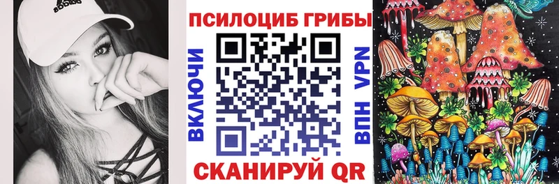 ОМГ ОМГ tor  Краснозаводск  Псилоцибиновые грибы Psilocybe 